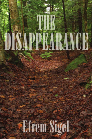 The Disappearance book cover Efrem Sigel